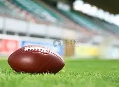 28娱乐-橄榄球联赛上演强强对话，塞北猎隼队强势横扫岭北银狐队，多点开花奏效；轮换效果显现的简单介绍