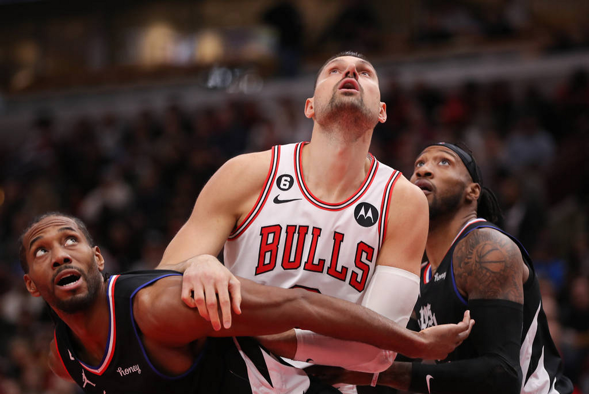 旺财娱乐- 公牛队全明星 